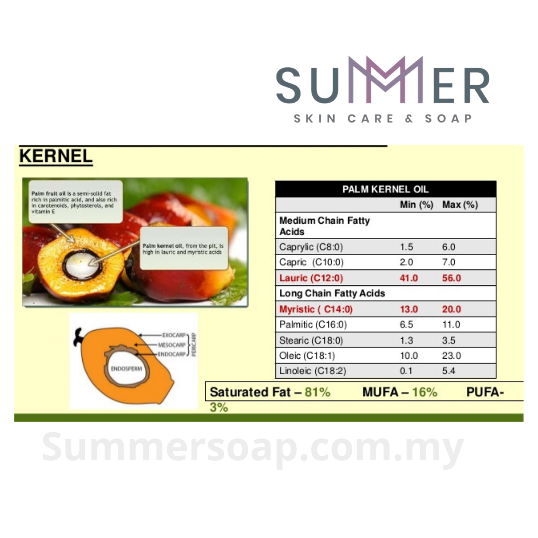 Summer Soap Premium Palm Kernel Oil 5L / Carrier Oil / Base Oil / DIY